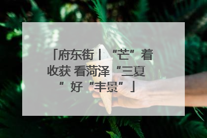 府东街丨“芒”着收获 看菏泽“三夏”好“丰景”